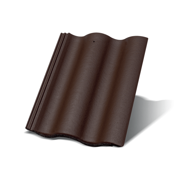 Synus Tamnosmeđa Osnovni