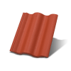 Synus